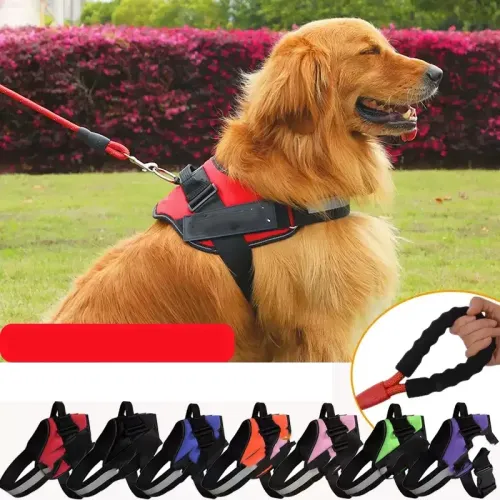 Vest-Style Dog Leash for Labradors and Other Breeds - Small, Medium, and Large Dogs