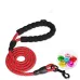 Reflective Dog Leash for Small to Medium Dogs - Teddy, Bichon, Pomeranian, Golden Retriever, Border Collie