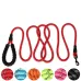 Reflective Dog Leash for Small to Medium Dogs - Teddy, Bichon, Pomeranian, Golden Retriever, Border Collie