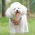 Small Dog Vest Style Leash for Puppies - Teddy, Bichon, Shih Tzu, Pomeranian, Pet Vest for Puppy Walking Leash