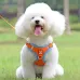 Small Dog Vest Style Leash for Puppies - Teddy, Bichon, Shih Tzu, Pomeranian, Pet Vest for Puppy Walking Leash