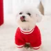 Festive New Year Outfit for Small Dogs and Cats - Pomeranian, Shih Tzu, and Other Breeds in Winter Clothing