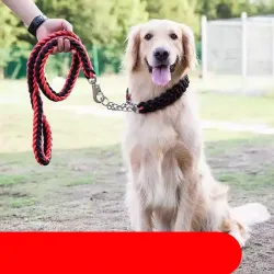 Large and Medium Dog Leash for Golden Retrievers and Labradors - Anti-Bite Dog Chain, Dog Collar, P-Rope, P-Chain