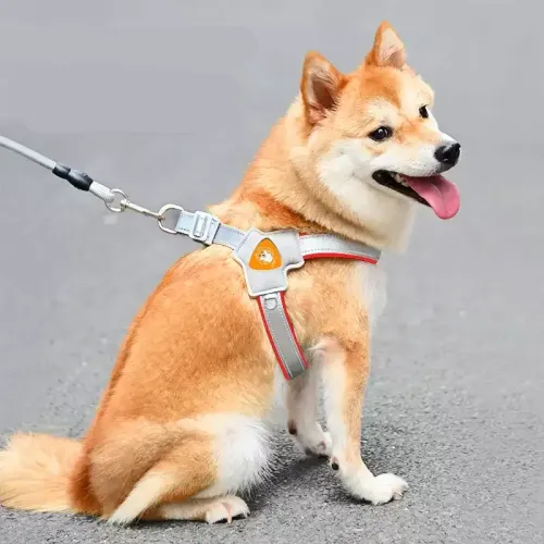 New Design Dog leash with Chest Vest for Small to Medium Dogs like Shiba, French Bulldog, and Corgi