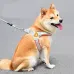 New Design Dog leash with Chest Vest for Small to Medium Dogs like Shiba, French Bulldog, and Corgi