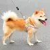 New Design Dog leash with Chest Vest for Small to Medium Dogs like Shiba, French Bulldog, and Corgi