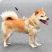 New Design Dog leash with Chest Vest for Small to Medium Dogs like Shiba, French Bulldog, and Corgi