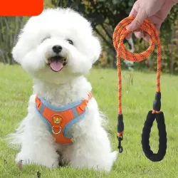 Dog Leash with Reflective Vest for Small Breeds like Pomeranian, Bichon, and Shih Tzu