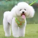 Vest-Style Dog Leash for Small Breeds like Pomeranian, Shih Tzu, and Bichon Frise - Dog Collar for Puppies and Adult Dogs