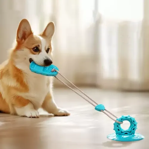 Durable Dog Suction Toy - Chew & Play Interactive Pet Supplies