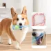 Dog Sound Toy - Interactive Pet Self-Entertainment Teething Ball for Puppies (Teddy, Corgi, and More)