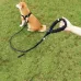 2-meter to 3-meter extended dog leash for Golden Retriever, Poodle, and other breeds of large, medium, and small dogs