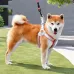 New Dog leash Chest Harness Pet Walking Rope for Small to Medium Dogs like Shiba, French Bulldog, Corgi