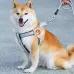 New Dog leash Chest Harness Pet Walking Rope for Small to Medium Dogs like Shiba, French Bulldog, Corgi