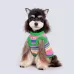 Winter Warmth Dog Sweater for Small Breeds - Snoodle, Pomeranian, Maltese New Year