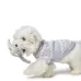 New Year Dog Sweater for Small Dogs - Winter Pet Clothing