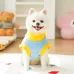 Pet Cat Winter Clothing & Dog Toys - Faux Fur Plush Toy Leash