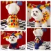 Autumn & Winter Small Dog Clothing - Fun Circus Transformation Plaid Knit Sweater for Puppies (Tai Di)