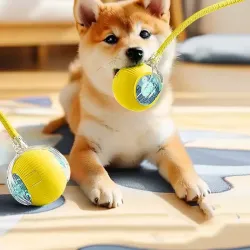 Automatic Dog Toy Ball - Smart Electric Dog Entertainment Ball for Self-Entertainment and Biting Resistance