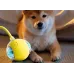 Automatic Dog Toy Ball - Smart Electric Dog Entertainment Ball for Self-Entertainment and Biting Resistance